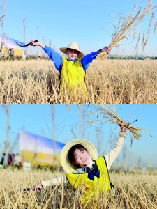 <br>          孩子们徜徉在金色稻浪中，感受稻田丰收季！ 本组图片由太原市晋源区稻田公园提供<br><br>        