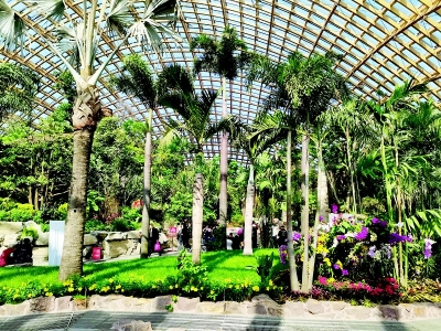 <br>          太原植物园<br><br>        