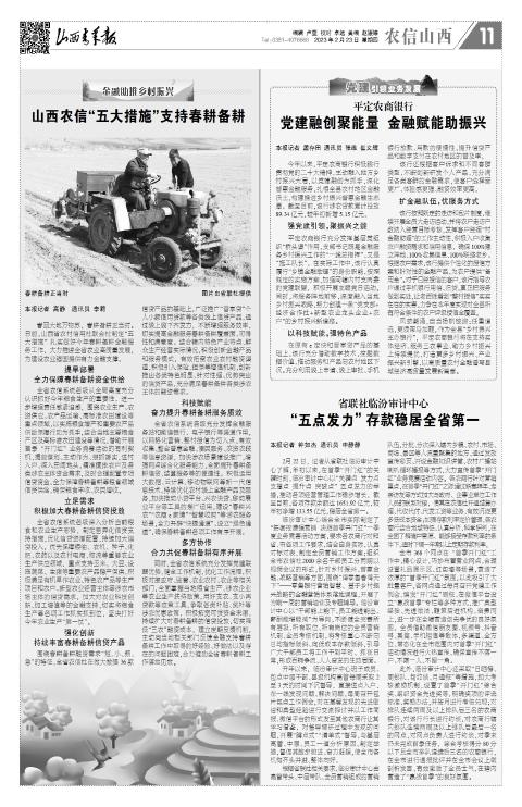 第11版