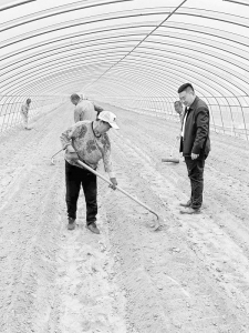           白雪枫的理想是种出更多、更好的粮食 本组图片均由受访者提供        