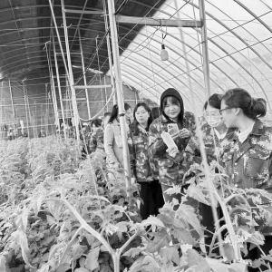 <br>          参观蔬菜大棚 图片由团太原市尖草坪区委提供<br><br>        