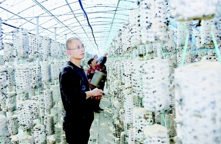 <br>          创新发展香菇种植产业<br><br>        