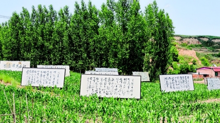 <br>          本次展览方式新颖独特<br><br>        