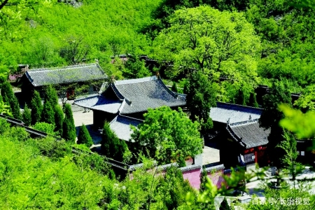 <br>          大云院<br><br>        