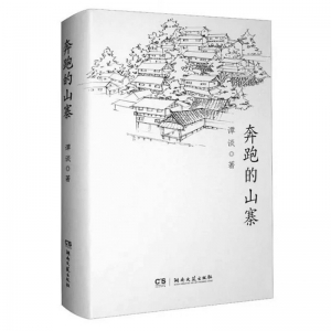 <br>          书名：《奔跑的山寨》<br>作者：谭谈<br>出版社：湖南文艺出版社<br><br>        