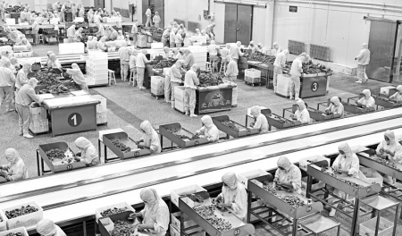 <br>          全链条加大对牛肉产业的金融支持力度 图片由平遥农商银行提供<br><br>        