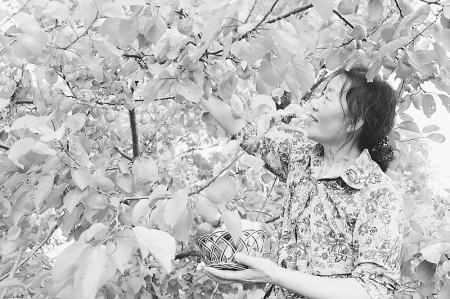 <br>          武乡农商银行助推梅杏产业高质量发展 图片由武乡农商银行提供<br><br>        