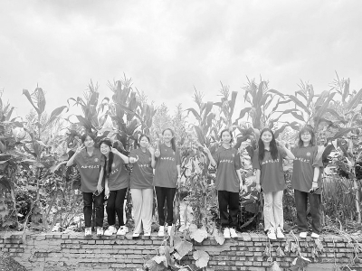 <br>          田间地头体验劳动快乐 图片由丁苒提供<br><br>        