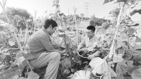 <br>          职工体验自耕自种劳动乐趣 通讯员 赵翔 摄<br><br>        