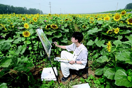 <br>          活动以多种形式开展<br><br>        