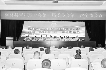 <br>          柳林县青年联合会成立大会现场 图片由团柳林县委提供<br><br>        