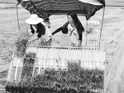           安徽师范大学“徽州遗韵绿禾焕新”团队在池州市河口村考察。        
