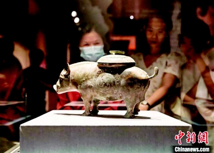 <br>          猪尊<br><br>        