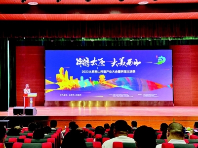           2023太原西山民宿产业大会暨民宿生活季启幕        