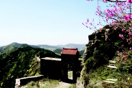           发鸠山        