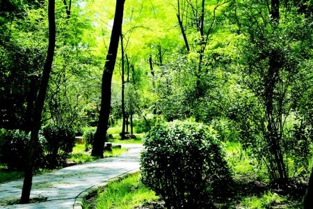 <br>          老爷山森林公园<br><br>        