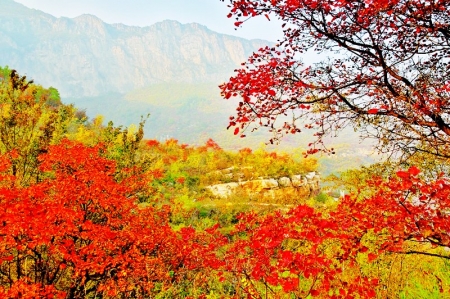           龙岩峡谷        