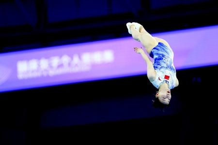 <br>          蹦床项目女子个人项目银牌<br>胡译乘<br><br>        