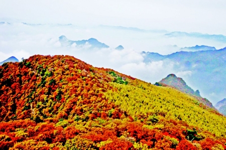 <br>          历山<br><br>        