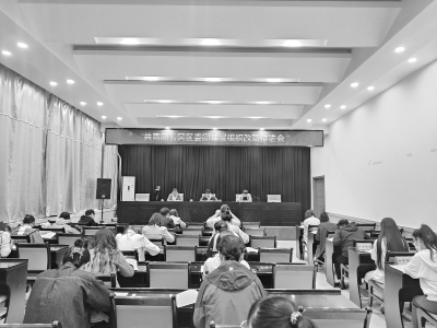 <br>          扎实推进各项任务落地落实 图片由共青团大同市云冈区委提供<br><br>        