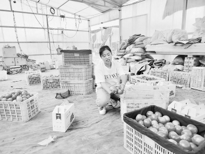 <br>          贾丽表示，要想当好农民，光靠吃苦是不行的。 图片由受访者提供<br><br>        