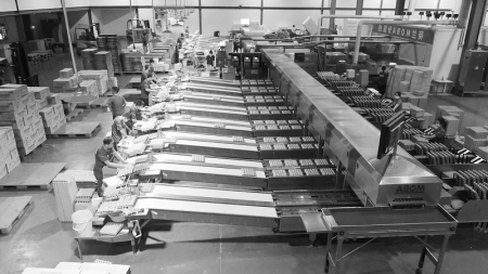 <br>          晋龙集团的每颗蛋都得经过12道工序<br><br>        