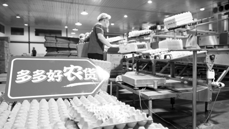 <br>              晋龙集团的鸡蛋借助拼多多等电商平台销往全国各地<br><br>        