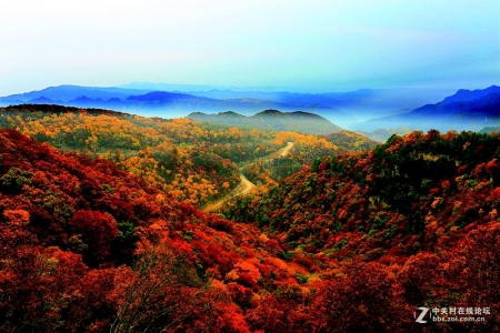 <br>          重峦叠嶂、红叶遍布　本版图片均为资料图片<br><br>        