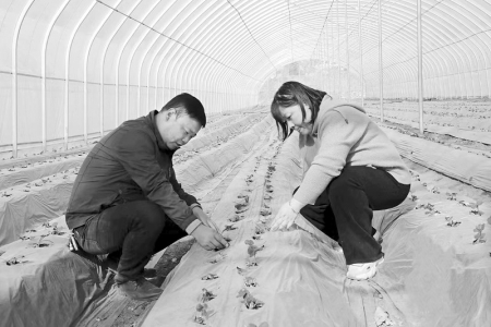 <br>          申建林(左)坚守初心，带领村民共同增收致富。 图片由受访者提供<br><br>        