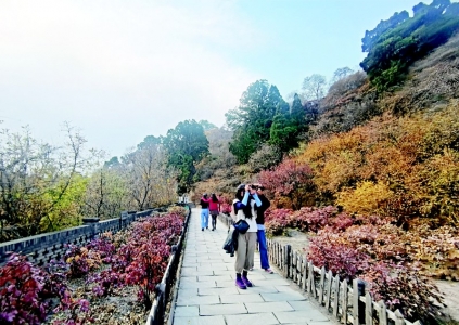 <br>          龙山秋景引客来<br><br>        