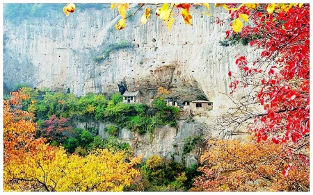 <br>          龙华山<br><br>        