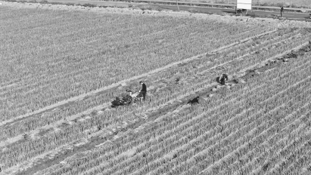 <br>          大葱长势喜人，村民忙丰收。 图片由太原市小店区融媒体中心提供<br><br>        