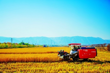<br>          产业园里收割机忙碌作业 图片由太原市尖草坪区融媒体中心提供<br><br>        
