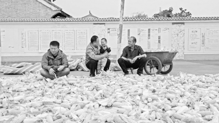 <br>          笃行村从问题村如今变成了小康村 本组图片通讯员 姚元元 摄<br><br>        