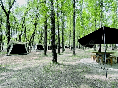 <br>          右玉红旗口林下露营基地<br><br>        