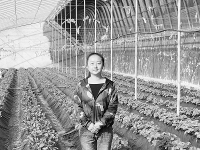 <br>          农业创业之路虽然困难重重，但荆杰未曾放弃。<br><br>        