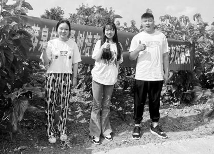 <br>          《莽泉佳酿》项目帮助果农走出滞销困局，让桑葚果真正成为村民的“致富果”。 本版图片均由山西财贸职业技术学院提供<br><br>        