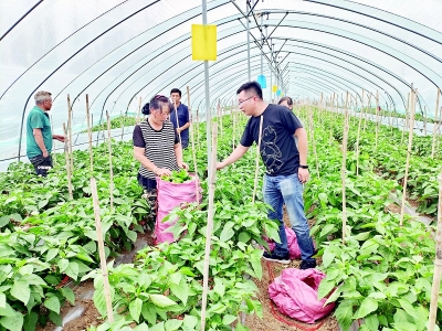 <br>          为乡村振兴贡献青春力量<br><br>        