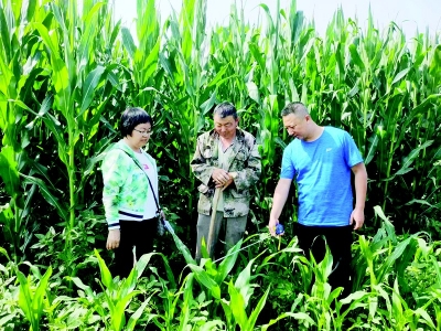 <br>          王少卿扎根在农业生产第一线 图片由受访者提供<br><br>        