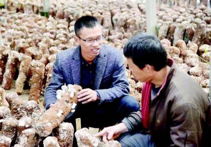 <br>          黄超为菇农讲解种植技术 图片由受访者提供<br><br>        