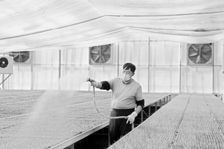 <br>          山西农信努力为服务“三农”和小微企业提供强有力金融支撑 通讯员 王学冕 摄<br><br>        