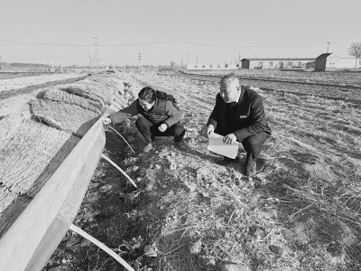 <br>          临汾农信多措并举推进金融支持乡村振兴工作 图片由临汾农信社提供<br><br>        