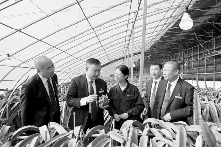 <br>          全员全力以赴拓客户 图片由晋中农信社提供<br><br>        