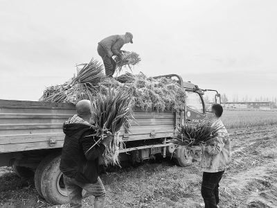 <br>          北格镇经济发展跑上“快车道” 图片由太原市小店区北格镇提供<br><br>        