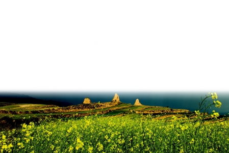 <br>          夏·油菜花开装点长城 （大同）<br><br>        