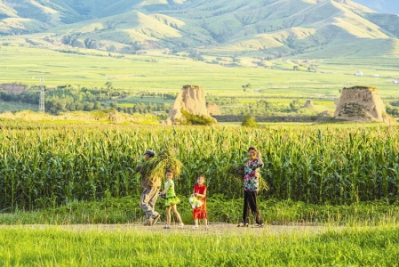 <br>          夏·回家的路 （大同）<br><br>        