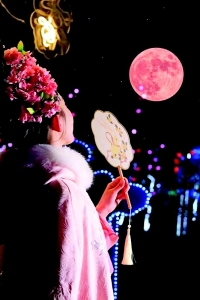 <br>          晋阳湖桃花岛新年灯会<br><br>        