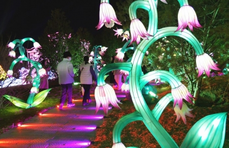 <br>          晋阳湖桃花岛新年灯会<br><br>        