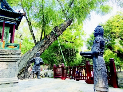 <br>          铁人<br><br>        