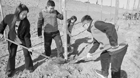 <br>          新绛青年植树护绿 图片由团新绛县委提供<br><br>        